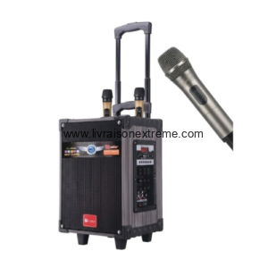 Enceinte de sonorisation portable sur roulettes (trolley) avec microphones sans fil.