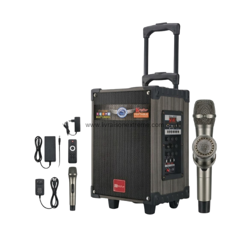 Ensemble de sonorisation portable avec accessoires. 10000W