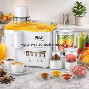Extracteur de jus (Mixeur R.2819W)